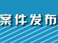 巢湖經開區除掉今年首個惡勢力犯罪集團  20余名嫌犯落網