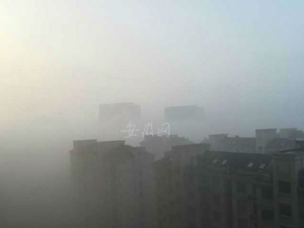 降水間隙大霧來擾  安徽33縣市發布預警