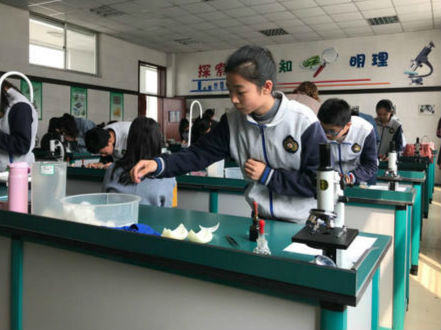合肥初二生物實(shí)驗(yàn)測(cè)試下月開考   總分暫不納入高中錄取