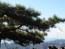7300個停車位開放 黃山風景區(qū)多舉措備戰(zhàn)小長假