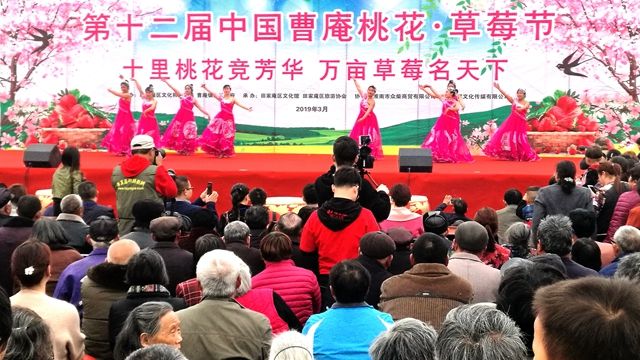十里桃花競芳華 萬畝草莓名天下——第十二屆中國曹庵桃花·草莓節啟幕