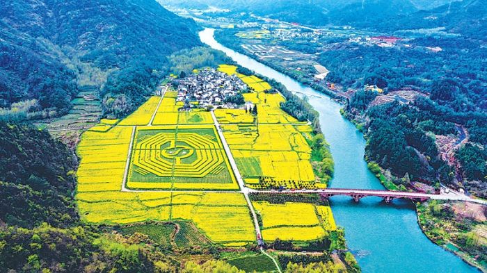 　　3月31日航拍休寧縣齊云山下的南坑村，創意八卦花田與山巒、河流、村舍相映成趣。通訊員 徐明 攝