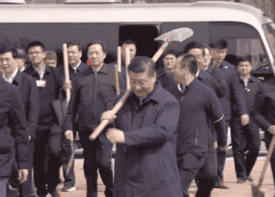 總書記植樹 這里有你不知道的細節