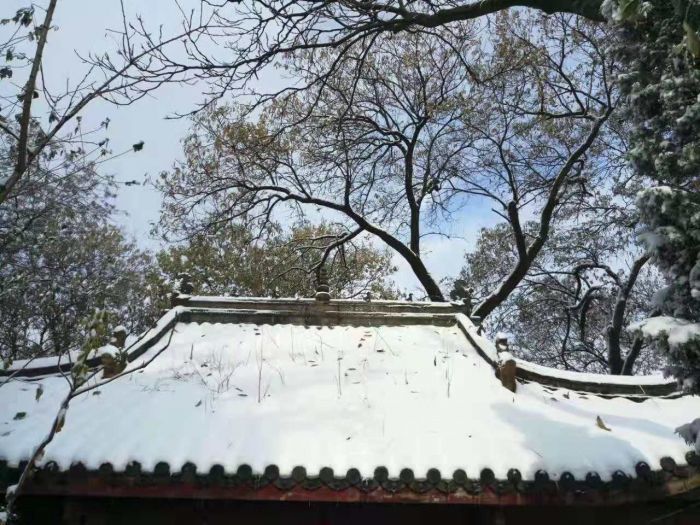 QQ圖片20190321203513