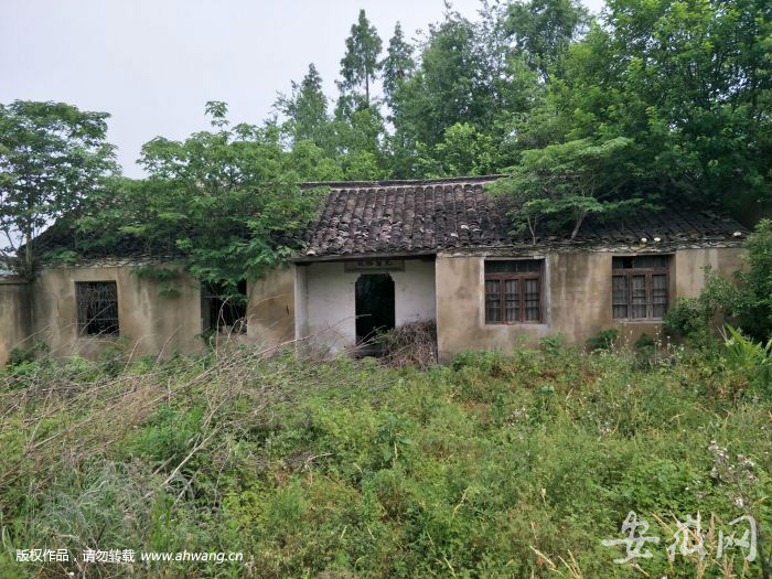 清代祠堂成蚊蟲天堂 村民：修繕要300萬 沒錢