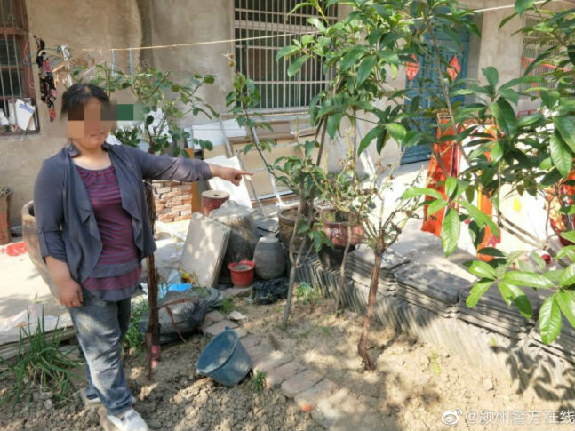 路邊的花兒莫要采  阜陽女子因采路邊月季被拘10日