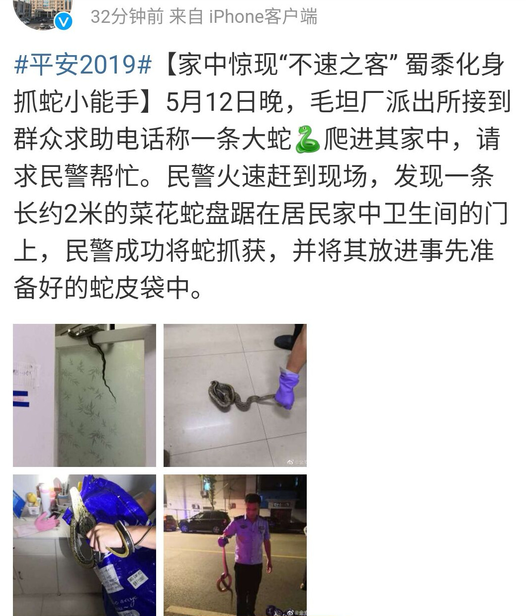 六安：居民家中驚現菜花蛇，派出所民警手到擒拿