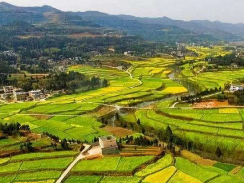 安徽省將在貧困村建3051個農業產業園