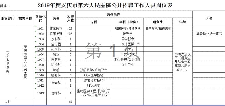 安慶市第六人民醫(yī)院公開招聘合同制工作人員65名 