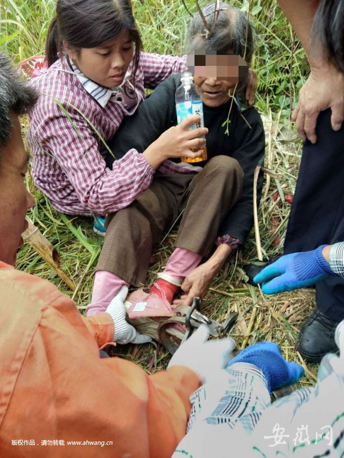 太湖老人踩“老虎夾”被困深山 當地調查何人布置