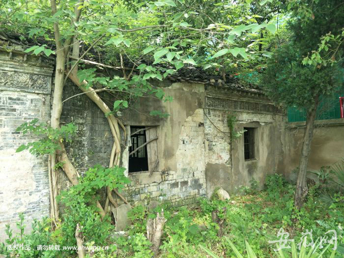 清代祠堂成蚊蟲天堂 村民：修繕要300萬 沒錢