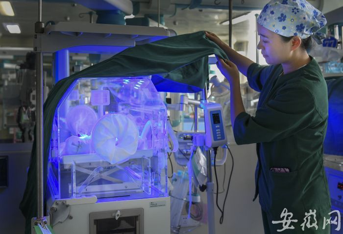 7 護士江為正在查看保溫箱里照藍光治療的孩子