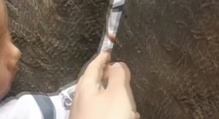 QQ圖片20190506142225