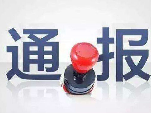 弄虛作假 不作為慢作為 亳州4名干部被通報處分