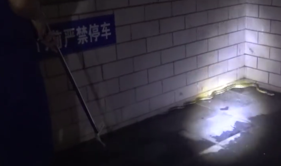 TIM圖片20190829142104