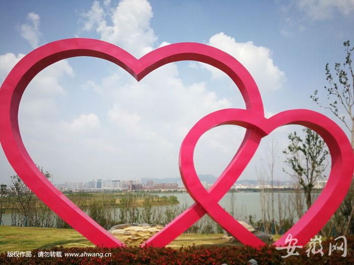 QQ圖片20190904095007