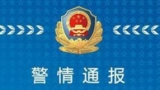 男子獵殺珍稀鳥類白鷴 罰其護(hù)山百天抵萬元賠償 