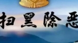 太和縣某武校窩藏黑團伙  最高檢掛牌督辦