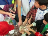 【大皖視頻】中國科大首次將“科技周”大規模帶入鄉村學校