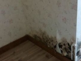 巢湖一業主房屋滲水維權4年  開發商終賠2萬元
