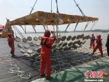安慶至武漢長江航道整治工程生態投資達4.55億元 
