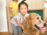 研究：養(yǎng)狗有助降低心血管疾病死亡風(fēng)險 可延長壽命 