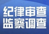 蒙城公安局特（巡）警大隊原副大隊長代玉民接審查調查