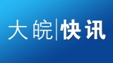 安徽省公安廳原副巡視員王輝嚴重違紀違法被開除黨籍