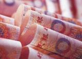 合肥一物業公司擅自砍伐城市樹木被罰4500元 