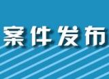 蕪湖繁昌查處違反中央八項規定精神問題32起 處理38人