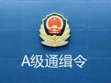 A級通緝令發布次日 蚌埠重大黑惡在逃人員劉振威被擒獲