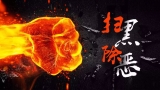安徽：4月以來66名涉腐涉“傘”涉“網”公職人員投案
