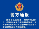 岳西儲某翰等12人涉嫌非法吸收公眾存款罪被執行逮捕