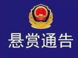 懸賞30萬！蕪湖警方公開通緝這4名逃犯