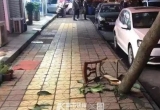 防高空拋物寫入民法典草案：建筑管理人應采取措施