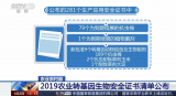 全球首例！基因編輯讓豬能抗三種重大疫病