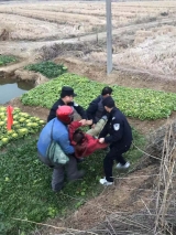 粗心駕駛撞倒路人，六安警民同心救助