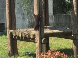 合肥野生動物園：歡迎市民給黑熊龍鳳胎寶寶賜名