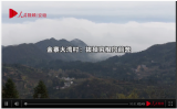 金寨大灣村：拔掉窮根向前奔