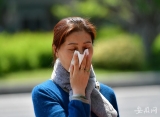 合肥氣溫升高  法梧飛絮惹人煩