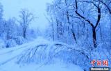 邊城饒河50年來首次五月降雨夾雪 雪后現霧凇美景