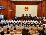 安慶中級人民法院開庭審理洪燦育等29人涉黑社會性質組織犯罪案