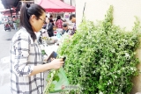 阜陽端午習俗，不止吃粽子掛艾草 