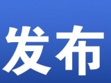 合肥市清理吊銷2019年度“僵尸企業”1.7萬余戶