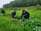 女子防汛抗洪志愿服務(wù)隊(duì)六旬隊(duì)員：大圩是我的家，我要保衛(wèi)家園