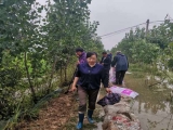 邵崗鄉：人大代表在一線 防汛抗災擔使命