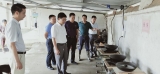 桐城市：徐雄到嬉子湖鎮調研防汛救災等工作