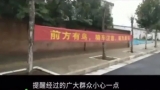 街頭驚現(xiàn)“憤怒的小鳥”，只啄黑衣男子！原因令人唏噓…