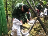十五里河、圩西河水位仍處高位 大圩鎮(zhèn)招募志愿者參與抗汛