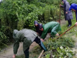 聞“汛”而動，肥西筑牢汛期安全防護墻